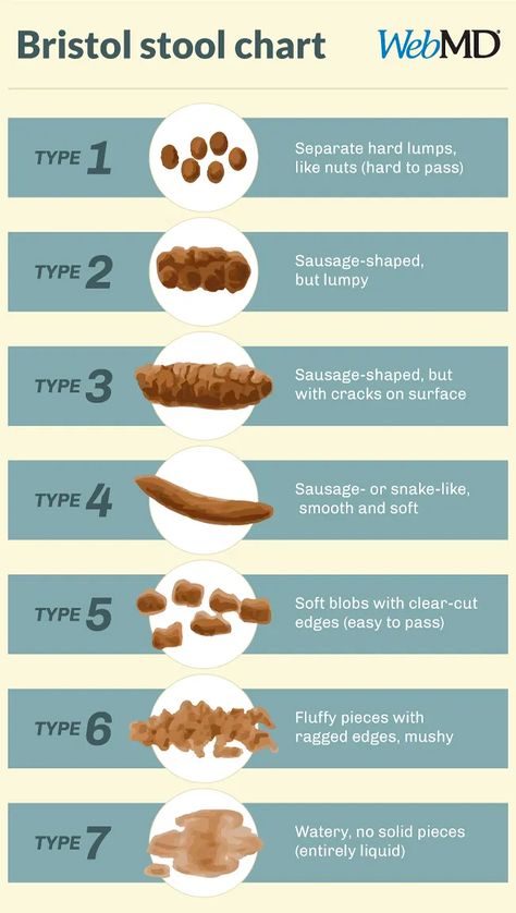 Stool Health Charts, Poo Chart, Poop Chart For Kids, Poop Chart Meaning, How To Poop Everyday, Stool Color Chart, Bristol Stool Chart, Stool Chart, Bristol Stool