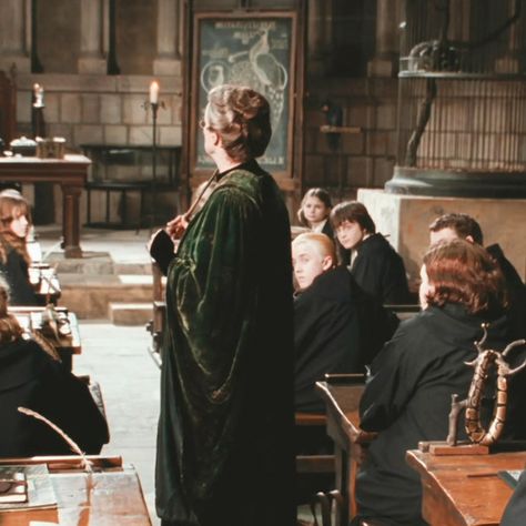 Harry Potter Professors Aesthetic, Hogwarts Transfiguration Classroom, Harry Potter Transfiguration Aesthetic, Transfiguration Class Aesthetic, Hogwarts Teacher Aesthetic, Harry Potter And The Chamber Of Secrets Aesthetic, Transfiguration Aesthetic, The Chamber Of Secrets Aesthetic, Hogwarts Curriculum