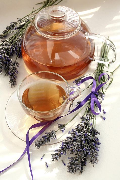 Tea Apple Cider Vinegar Drink, Lavender Tea, My Cup Of Tea, Flower Tea, Lavender Flowers, Frappe, Tea Recipes, Herbal Tea, High Tea