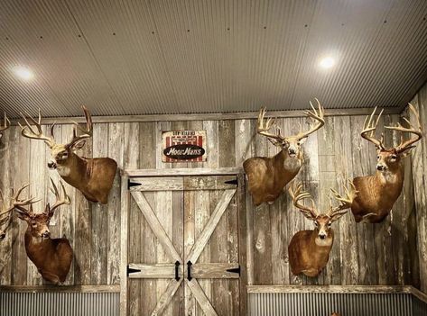 Hunting Man Caves, Hunting Room Ideas, Hunting Room Design, Sawmill Projects, Man Cave Inspiration, Deer Mount Ideas, Deer Processing, Deer Hunting Decor, Deer Skull Mount