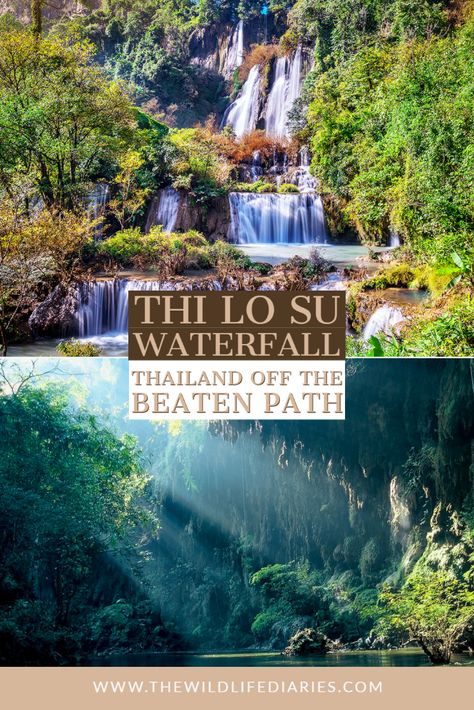 Looking for an off the beaten path adventure in Thailand? Consider a trek to Thi Lo Su Waterfall - Thailand's biggest and prettiest waterfall Waterfall Jungle, Jungle Hike, Visit Asia, Waterfall Adventure, Jungle Adventure, River Rafting, Sleeping Under The Stars, Travel Asia, Northern Thailand