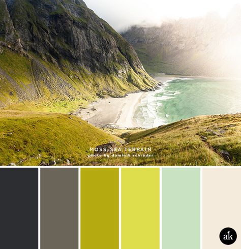 a mossy-coast-inspired color palette — Creative brands for creative people // Akula Kreative Modern Brands, Chartreuse Color, Design Seeds, Colorful Landscape, Mellow Yellow, Colour Schemes, Color Pallets, Color Theory, Colour Palette