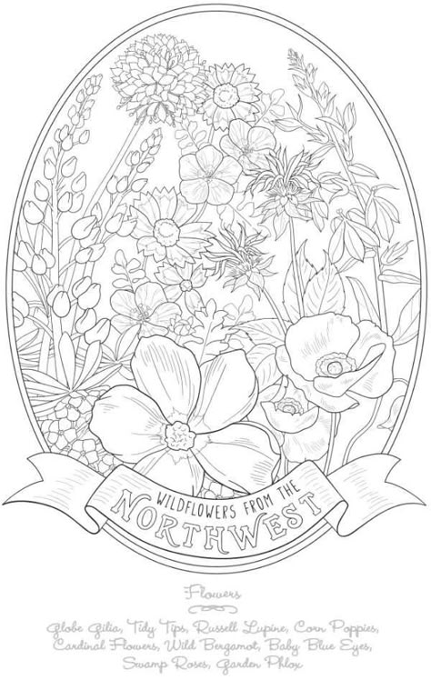 6 FREE Wildflower Coloring Pages – Stamping Flower Colouring Pages, Dover Coloring Pages, Flower Colouring, Line Tracing, State Flowers, Wildflower Paintings, Adult Colouring Printables, Spring Coloring Pages, Adults Coloring