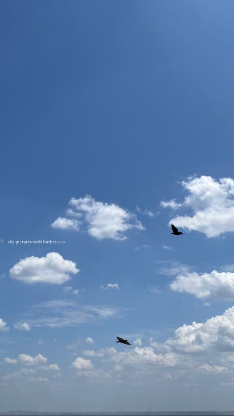 Birds Flying In The Sky Aesthetic Caption, Birds Instagram Story Caption, Birds Instagram Story, Sky Captions, Photography Captions, Sunset Captions For Instagram, Dr Ambedkar Hd Wallpaper New, Dr Ambedkar, Sunset Captions