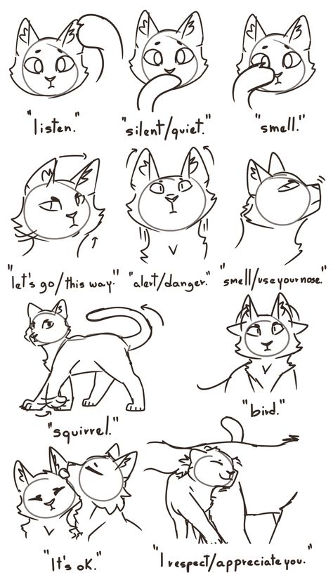 Warrior Cats Funny, Warrior Cat Memes, Warrior Cats Comics, Cat Drawing Tutorial, Warrior Cats Books, Cat Anatomy, Warrior Cats Fan Art, Cat Language, Cat Body