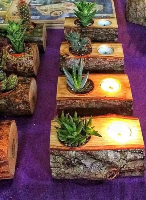 Succulents Candles, Deco Nature, Rustic Candle Holders, Rustic Candles, Wood Candle Holders, Cactus Y Suculentas, Deco Floral, Wood Candles, Succulents Garden