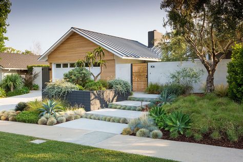 Midcentury Modern Landscaping, Mcm Garden, California Landscape Design, Mid Century Modern Landscaping, Modern Landscaping Ideas, California Landscaping, Dracaena Marginata, Falling Waters, Ranch House Exterior