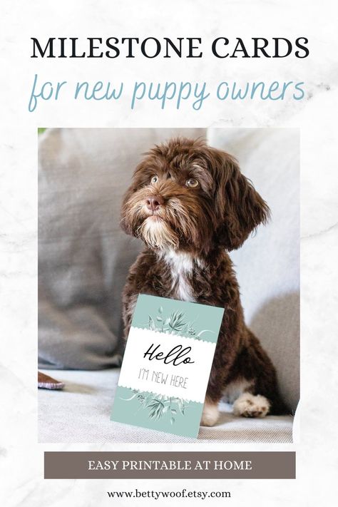 Welcome Puppy Announcement, Photo Props Diy, Durable Dog Toys, I Love My Dad, Puppy Birthday, Puppy Gifts, Puppy Photos, I Love Mom, Milestone Cards