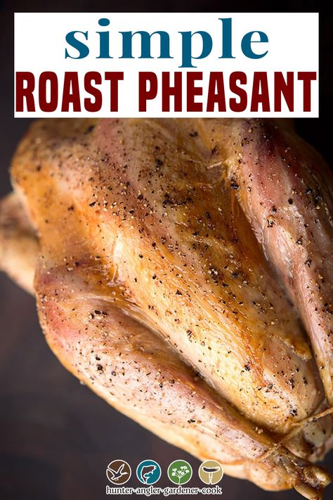 Best Way To Cook Pheasant, Oven Roasted Pheasant Recipes, Roasted Pheasant, How To Cook Pheasant Recipes, Roast Pheasant Recipes, Cooking Pheasant Whole, Cooking Pheasant, Whole Pheasant Recipes, Grilled Pheasant Recipes