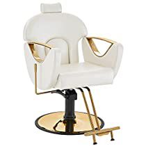 Ergonomic Recliner, Reclining Salon Chair, Barber Store, Lumbar Disc, Esthetician Room Decor, Unique Styling, Inbox Zero, Salon Chairs, Swivel Stool