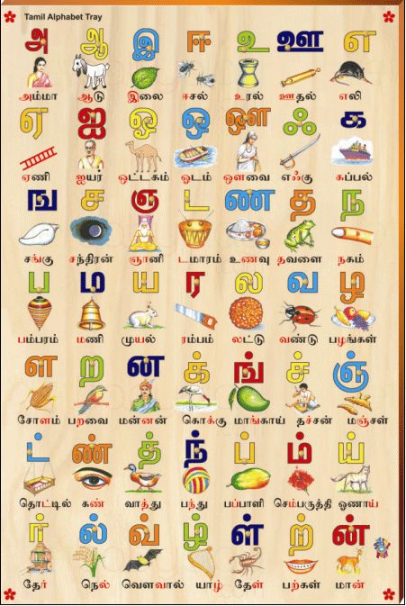 Tamil Alphabet Picture Tray Rs 545 Tamil Alphabets Worksheets, Indian Typeface, Vowels And Consonants Chart, Consonants Chart, Tamil Alphabet Chart, Chennai Map, Letter Writing For Kids, Tamil Alphabets, Tamil Letters