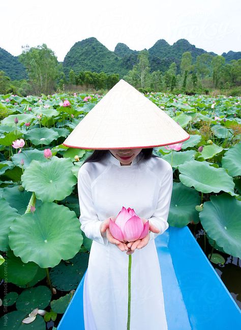 Lotus Garden, Beautiful Vietnam, Vietnam History, Vietnam Art, Choi Min Ho, Asian Tattoos, Jung Yong Hwa, Hand Crafts For Kids, Lotus Flowers