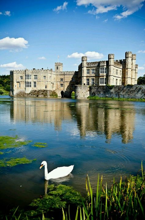 Been here! Wonderful Leeds Castle in Kent, England. A castle has been situated on the site since 1119. British Castles, Classical Music Composers, Leeds Castle, Chateau Medieval, English Castles, Kent England, Castle In The Sky, Chateau France, Castle Ruins