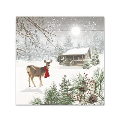 Christmas Themed Paper Napkins - Napkins2go Winter Entertaining, Dreaming Of A White Christmas, Christmas Entertaining, A White Christmas, Winter Cocktails, Winter Inspired, Winter Themed, Paper Products, Snow Scenes