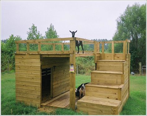 Goat Castle, Goat Playground, Goat Toys, Goat Shed, Goat Shelter, Goat Pen, Small Goat, Goat House, Goat Care