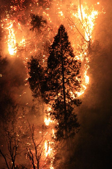 RIM FIRE Wildland Fire, Wildland Firefighter, Watch The World Burn, California Wildfires, Fire Photography, Pastel Sec, Wild Fire, Nature Conservation, Forest Fire