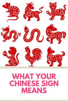 Chinese Birth Chart, Chinese Star Signs, Chinese Animals, 12 Chinese Zodiac Signs, Chinese Zodiac Animals, Chinese Zodiac Tiger, Dragon Quilt, Get To Know Yourself, Chinese Horoscope