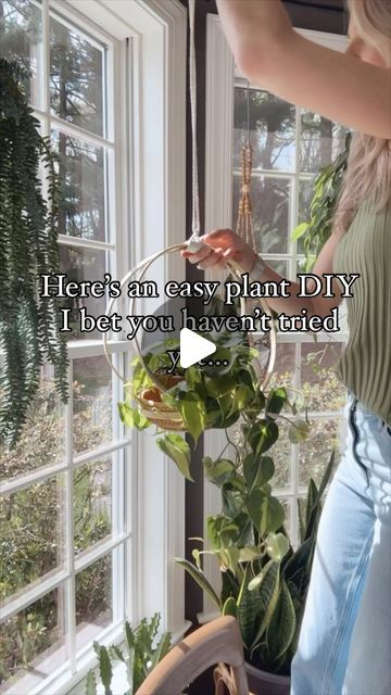 Dana Carpenter | Houseplant care on Instagram: "Save this if you love the way hanging plants make your home feel like an indoor jungle!! And comment SUPPLIES for a dm with links to what I used. 🔗🪴  👉What you need:  -embroidery hoops: 2 large and 1 small to hold the basket. I used 2 12 inch hoops with an 8 inch hoop for the basket.  -White duct tape -Macrame cord (or twine if you prefer) -A wooden ring for the hanger at the top -Hook to hang it from a curtain rod or wherever you plan to hang it!  👉Directions:  Connect the two larger hoops at the top using a thin piece of white duct tape.  Place the smaller hoop at the bottom between the two larger, securing it with duct tape.  Now it’s time to use macrame cord to cover the tape. Here are instructions on how to make a gathering knot.  -C How To Hang A Plant With Rope, Hanging Plants Without Drilling Holes, Hanging Plant Rope Diy, Rope For Hanging Plants, Plant Training, Hanging Plants Outdoor, Basket Wall Hanging, Louver Windows, Ceiling Plant Hanger Macrame Dyi