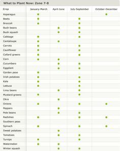 Planting Green Beans, When To Plant Potatoes, Tips For Growing Tomatoes, Fall Planting, Planting Calendar, Planting Potatoes, Gardening Zones, Zone 7, Fall Garden Vegetables