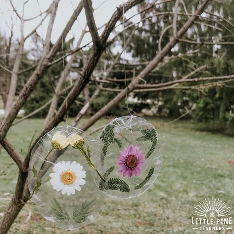 Nature Sun Catchers Made With Recycled Items • Little Pine Learners Nature Preschool Activities, Recycled Activities, Nature Art Activities, Outdoor Summer Activities For Kids, Nature Crown, School Activities For Kids, Nature Games, Functional Crafts, Forest School Activities