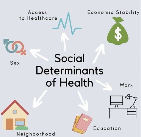 Public Health, Social Determinants of Health Public Health Major Aesthetic, Public Health Careers, Public Health Aesthetic, Ph Aesthetic, Public Health Career, Health Disparities, Medical Ethics, Health Informatics, Health And Social Care