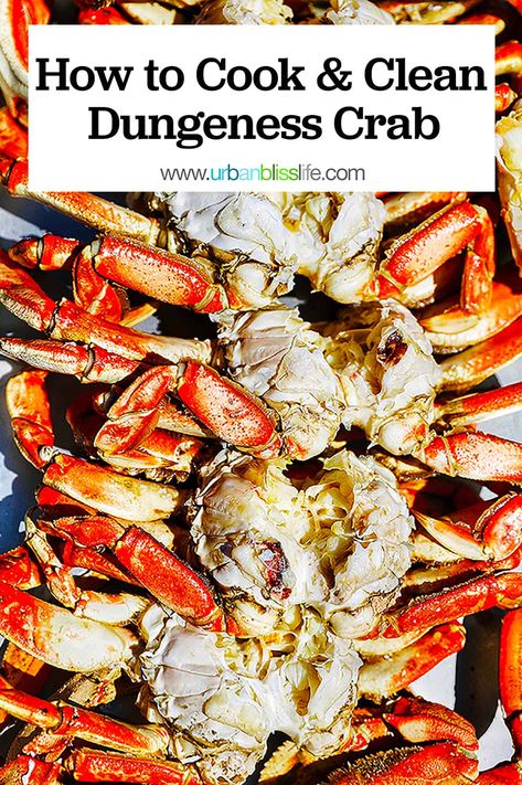 Cooking Dungeness Crab, Crab Boil Recipe, Dungeness Crab Recipes, Crab Pasta, How To Cook Liver, Crab Dishes, Crab Boil, Seafood Entrees, Dungeness Crab