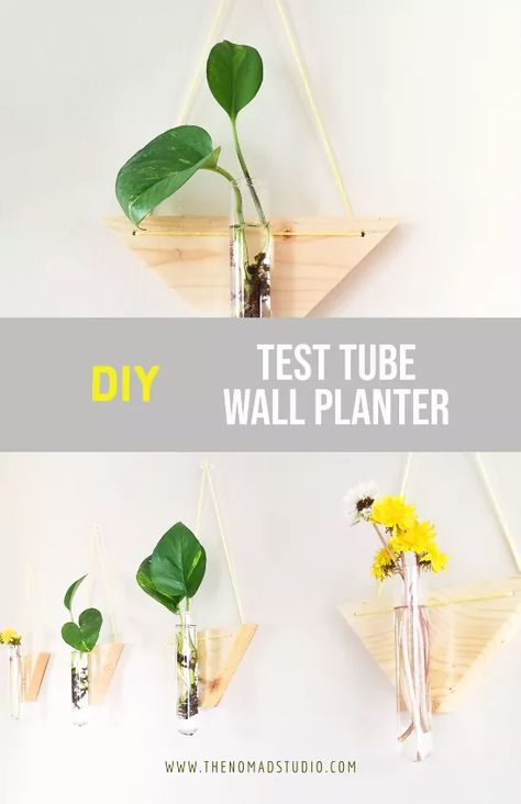 Test Tube Wall Planter | Hometalk Test Tube Planter, Tube Planter, Using Scrap Wood, Diy Wall Planter, Dry Wall, Make A Table, Drilling Holes, Diy Planters, Wall Planter