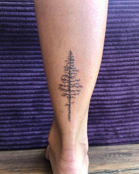 Hand poked pine tree tattoo on the achilles. Tree Ankle Tattoos For Women, Tattoo Achilles, Evergreen Tree Tattoo, Pine Tree Tattoo, Ankle Tattoos For Women, Ankle Tattoos, Hand Poked Tattoo, Poke Tattoo, Hand Poke