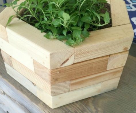 Feat 2x2 Projects, Hexagon Planters For Tabletop Or Wall, Mylove2create 2x2 Wood Projects, Planter Boxes Ideas, Wood Flower Box, 2x2 Wood, Diy Wood Planters, Elevated Planter, Planter Box Plans, Cedar Planters, Diy Planter Box