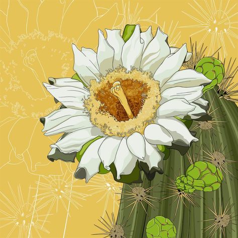 Saguaro Cactus Blossom, Saguaro Flower, Saguaro Blossom, Cactus Mural, Arizona Flower, Blossom Drawing, Taos Art, Cactus Images, Cactus Paintings