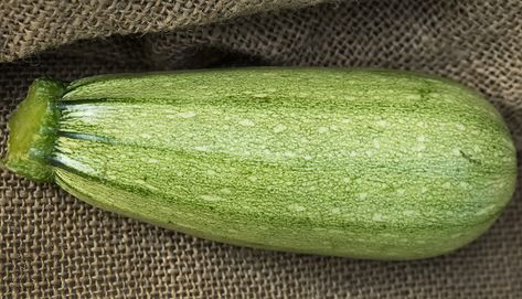 Cousa squash laying on burlap fabric. Cousa Squash, Types Of Squash, Winter Squash Varieties, Yellow Squash Casserole, Pasta Substitute, Squash Varieties, Green Spaghetti, Sweet Dumplings, Squash Salad