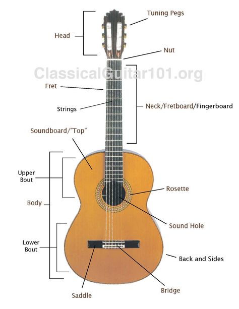 Learn all the classical guitar part names. Includes a diagram and definitions. Guitar Parts Name, Parts Of Guitar, Body Gitar Spanyol, Guitar Lessons Fingerpicking, Ovation Guitar, Violin Instrument, Classical Guitars, Guitar Drawing, Guitar Notes