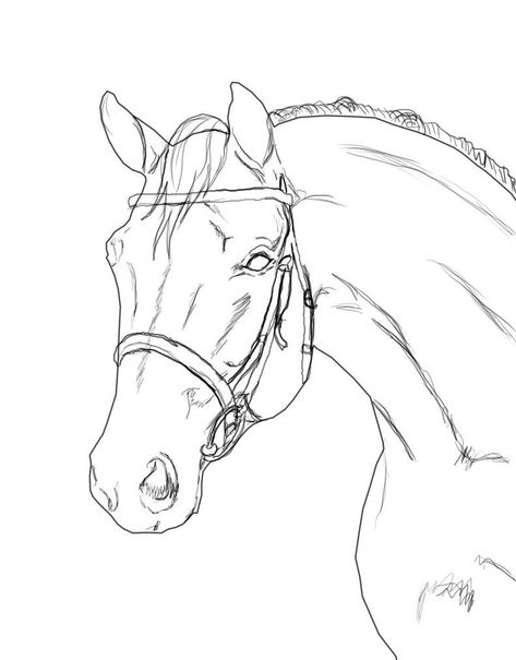 Horse lineart with Bridle by D-W-H Horse Head Outline, Horse Lineart, Easy Horse Drawing, Horse Pencil Drawing, Horse Head Drawing, Horse Outline, Horse Coloring Books, Horse Art Drawing, Warmblood Horses