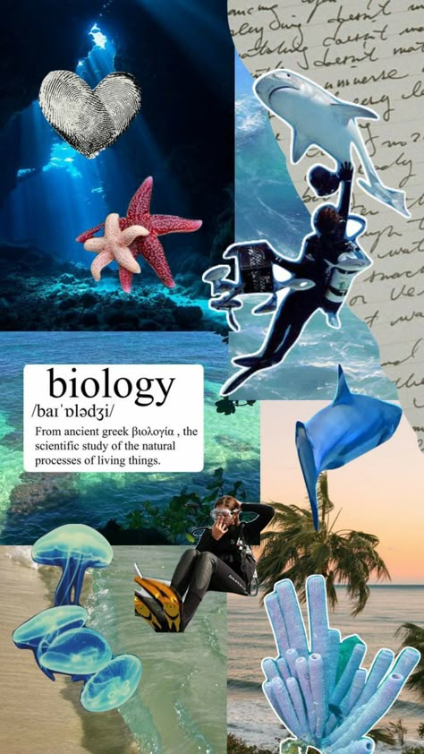 Marin Biology, Oceanography Marine Biology, Wildlife Biologist, 2024 Vision Board, Marine Biologist, Wallpaper Pastel, Oceanography, Ocean Vibes, Ocean Theme