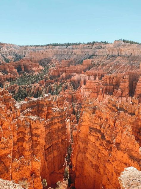 One Epic Day in Bryce Canyon National Park: 1 Day Itinerary - Brooke In Boots Bryce National Park, Canyon City, Sunset Point, Bryce Canyon National Park, Natural Bridge, Perfect Itinerary, Bryce Canyon, Plan A Trip, Us National Parks