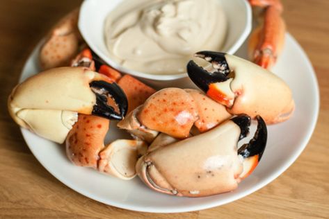 Just like at Joe's. Great on any seafood! Stone Crab Sauce, Stone Crab Mustard Sauce, Crab Sauce Recipe, Crab Sauce, Crab Dinner, Mustard Sauce Recipe, Crab Appetizer, Bbq Platter, Florida Recipes