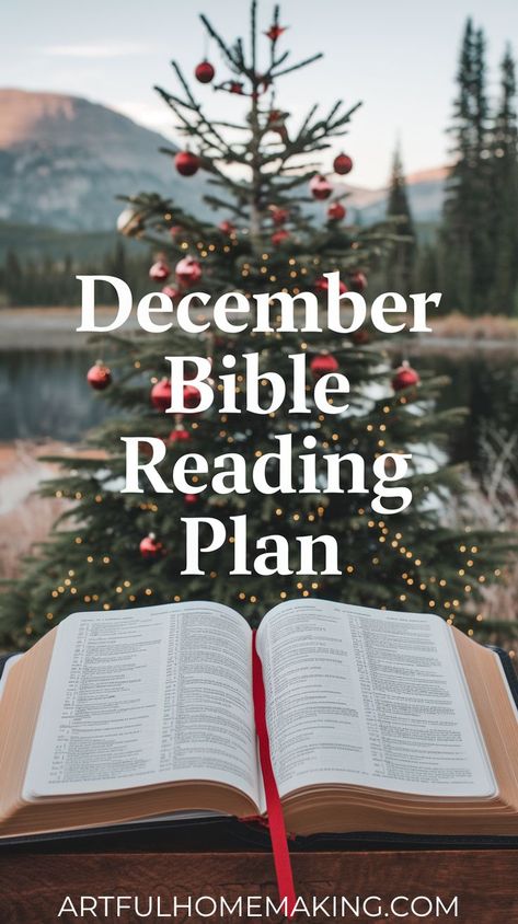 an open Bible used for a Christmas Bible reading plan in front of an outdoor Christmas tree December Bible Reading Plan, Christmas Bible Reading Plan, Christmas Bible Study, Advent Scripture, Advent Readings, Daily Scripture Reading, Christmas Devotional, Christmas Scripture, Weary Soul