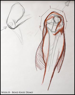 Knee Structure, Leg Anatomy, Figure Drawing Tutorial, Drawing Legs, Figure Drawings, Anatomy Tutorial, Creativity Exercises, Body Sketches, Human Figure Drawing