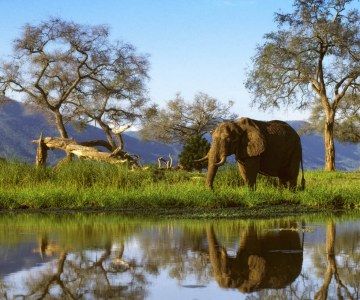 Reasons You Will Regret Not Going To Zimbabwe Zimbabwe Africa, Zambezi River, Elephant Sanctuary, Largest Waterfall, Save The Elephants, White Water Rafting, Southern Africa, Zimbabwe, Ancient Cities