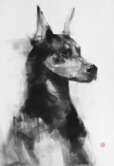 Charcole Drawings, Drawing 101, Charcoal Artwork, Art Charcoals, Drawing Charcoal, Art Charcoal, Charcoal Sketch, White Drawing, Animal Portraits