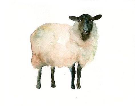 little lambie and mary Sheep Watercolor, Western Watercolor, Farm Sheep, Sheep Illustration, Sheep Paintings, Sheep Art, A Sheep, Watercolor Painting Techniques, Watercolor Art Lessons