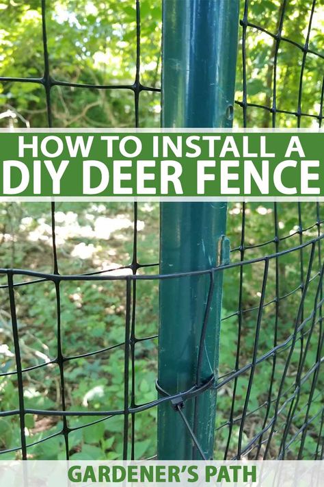 Terrace Gardening, Deer Resistant Garden, Deer Proof, Tattoo Plant, Diy Garden Fence, Deer Fence, Vegetable Garden Raised Beds, Diy Fence, Homestead Survival