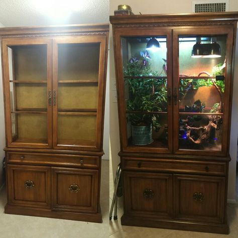 Diy chameleon terrarium from an old China Cabinet Diy Reptile Enclosure, Reptile Diy, Chameleon Terrarium, Old China Cabinet, Lizard Cage, Snake Cages, Diy Reptile, Bearded Dragon Diy, Snake Terrarium