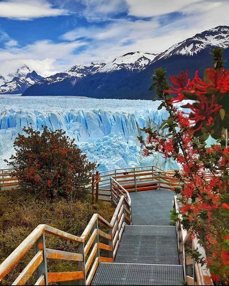 Fotos de Argentina 🇦🇷 on Instagram: “Glaciar Perito Moreno 🇦🇷 📸 @ari_lallana” Visit Argentina, Patagonia Argentina, Patagonia, Natural Landmarks, Travel, Instagram, Nature