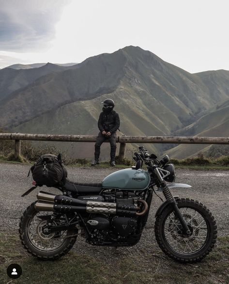 Triumph Scrambler 900, Adventure Bike Motorcycles, Triumph Street Scrambler, Motorbike Art, Street Scrambler, Triumph Bikes, Motorcross Bike, Custom Street Bikes, Triumph Thruxton