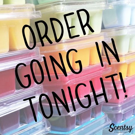 Scentsy Bulk Order Going In, Bulk Order Scentsy, Scentsy Order Going In, Scentsy Bulk Order, Scentsy Sample Ideas, Scentsy Order, Scentsy Pictures, Scentsy Games, Scentsy Facebook Party