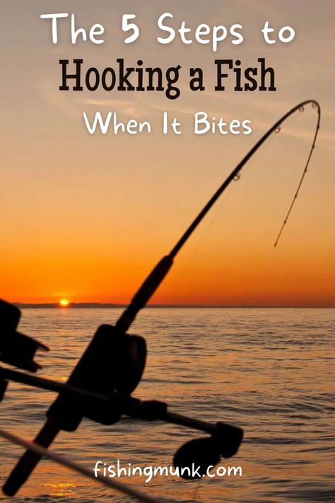 When going fishing, knowing how to hook a fish when it bites is one of the most important skills to have at hand. There are certain steps from choosing the right lure to detecting a fish bite that can help make the process of hooking the perfect catch smoother and more efficient for you. Beginner Fishing, Fishing Tricks, Fish Types, Fishing Hacks, Diy Fishing Lures, Fish Bites, Diy Fishing, Fishing For Beginners, Fishing Stuff