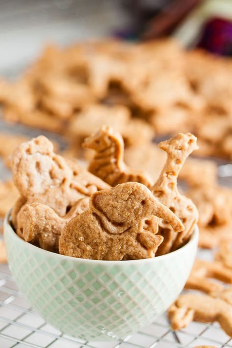 Cinnamon Animal Crackers – Both cinnamon and honey combine to give these soft, tender cinnamon animal crackers a flavour reminiscent of mini donuts or cinnamon buns. Diy Cinnamon, Healthy Nutrition Plan, Homemade Crackers, Cracker Recipes, Animal Crackers, Mini Donuts, Starters Recipes, Homemade Snacks, Kid Food