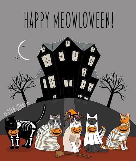 Cat Quilt, Cat Signs, Halloween Painting, Work With Animals, Ad Art, Animated Cartoons, Halloween Prints, Halloween Cat, Halloween Art