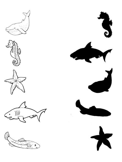 worksheet Water Animals Worksheet, Water Animals Preschool, Kindergarten Transportation, Ocean Theme Preschool, Spring Drawing, Summer Worksheets, Fun Worksheets For Kids, Preschool Reading, Animal Worksheets